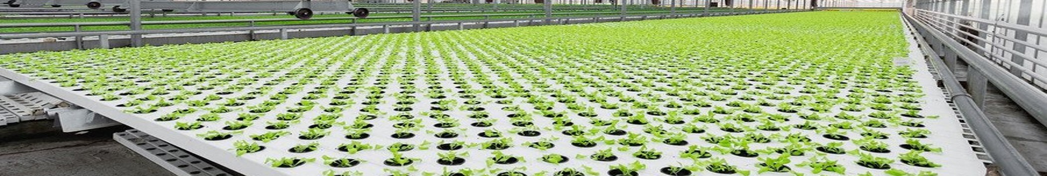 Marijuana Equipment Companies