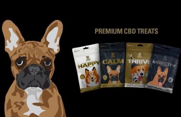 PETNESS CBD – CBD For Pets