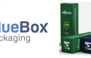 Blue Box Packaging