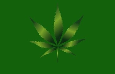 Weed Me Inc.